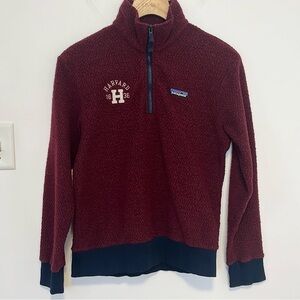 Patagonia Woolyester Pullover ,  sz XS